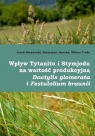 Wpływ Tytanitu i Stymjodu na wartość produkcyjną.. Jacek Sosnowski, Katarzyna Jarecka, Milena Truba
