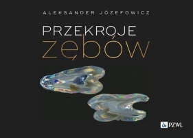 Przekroje zębów - Józefowicz Aleksander