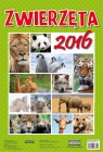Kalendarz ścienny 2016 Zwierzęta