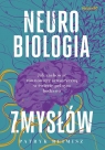 Neurobiologia zmysłów. Jak zachować równowagę... Patryk Reimisz