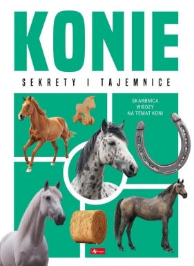 Konie - Anna Willman