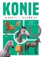 Konie - Anna Willman