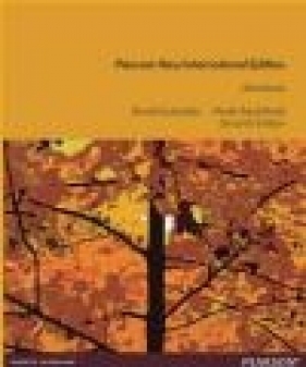 Structures - Martin Bechthold, Daniel Schodek