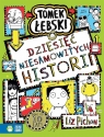 Tomek Łebski. Dziesięć niesamowitych Historii Pichon Liz