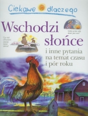 Ciekawe dlaczego Wschodzi słońce - Walpole Brenda