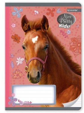 Zeszyt A5 w trzy linie kolorowe 16 kartek Nice and Pretty 10 sztuk
