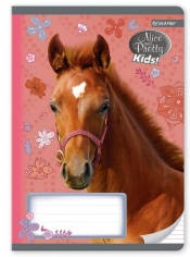 Zeszyt A5 w trzy linie kolorowe 16 kartek Nice and Pretty 10 sztuk