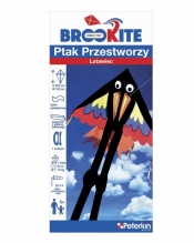 Brookite Latawiec Ptak przestworzy