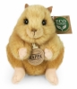 Chomik złocisty 16cm