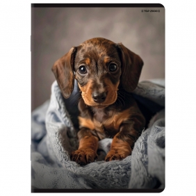 Zeszyt Top 2000 Basic A5/80k kratka z marginesem, 1 szt