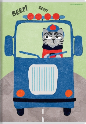 Zeszyt Top 2000 Boy's Card A6/32k kratka, 1 szt