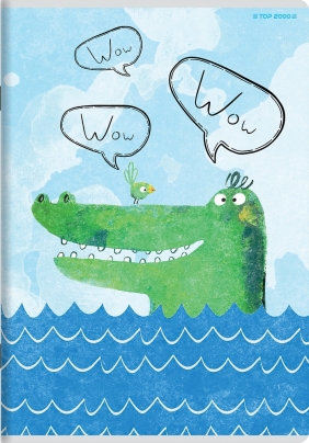 Zeszyt Top 2000 Boy's Card A6/32k kratka, 1 szt