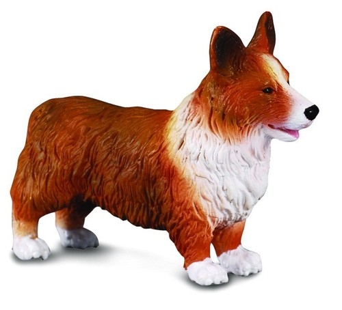 Pies Welsh corgi (88082)