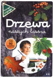 Drzewa naszych lasów część 2 Poznaję i rysuję