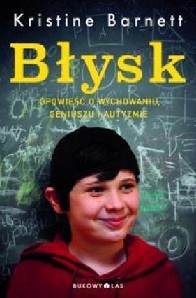 Błysk - Barnett Kristine<br />
