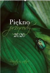Kalendarz 2020 Reklamowy Piękno przyrody RW22