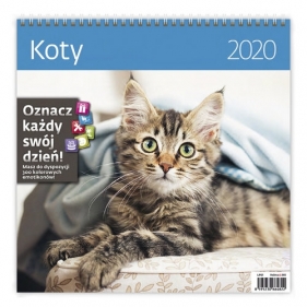 Kalendarz wieloplanszowy Koty 30x30 2020