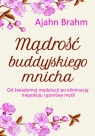 Mądrość buddyjskiego mnicha Ajahn Brahm