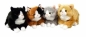 Kot 23cm mix