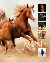 Konie - Ewa Walkowicz