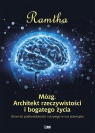 Mózg. Architekt rzeczywistości i bogatego życia Ramtha