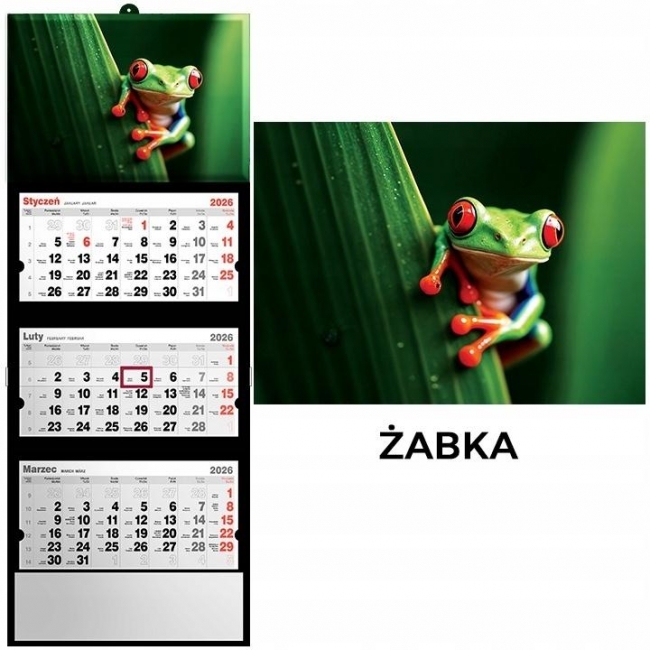 <img src='https://webimage.pl/pics/823/1/d5901421111069.jpg' style='height:440px' /> Kalendarz 2026 trójdzielny żaba
