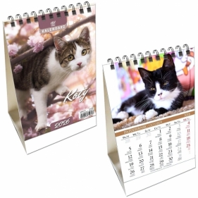 Kalendarz 2026 biurkowy pion Koty