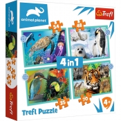 Trefl, Puzzle 4w1: Tajemniczy świat zwierząt (34382)
