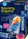  Zestaw Fun Science - Squishy Organs