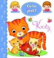 Co to jest? Koty - Emilie Beaumont, Nathalie Belineau