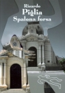 Spalona forsa