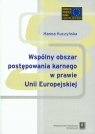 Wspólnyy obszar postępowania karnego w prawie Unii Europejskiej Kuczyńska Hanna