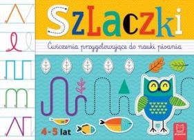 Szlaczki. Ćwiczenia przygotowujące do nauki pisania 4-5 lat - Agata Kaczyńska