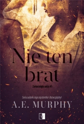 Zamarznięte serce. Nie ten brat. Tom 1 - A.E. Murphy