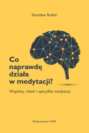 Co naprawdę działa w medytacji? (Uszkodzona okładka) - Stanisław Radoń