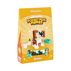 Mini Waffle Pocket Pets, Puppies - Beagle