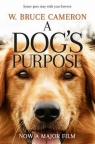 A Dog's Purpose Cameron Bruce