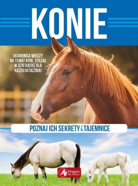 Konie (Uszkodzona okładka) - Anna Willman
