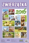 Kalendarz 2016 Zwierzątka