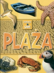 Plaża Zobacz sam