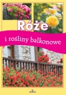 Róże i rośliny balkonowe