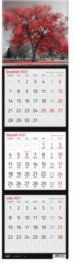Kalendarz 2021 Trójdzielny Kwadratowy