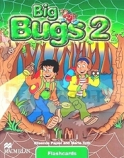 Big Bugs 2 Flashcards - Ana Soberón