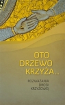 Oto drzewo krzyża Rozważania Drogi Krzyżowej