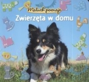Maluch poznaje Zwierzęta w domu