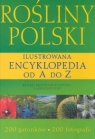 Rośliny Polski. Ilustrowana encyklopedia od A do Z Krzyściak Kosińska Renata Kosiński Marek