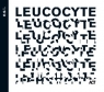 Leucocyte