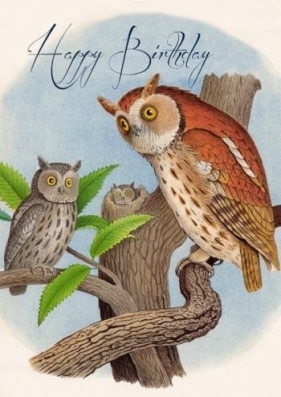 Karnet B6 z kopertą Urodziny Sowy