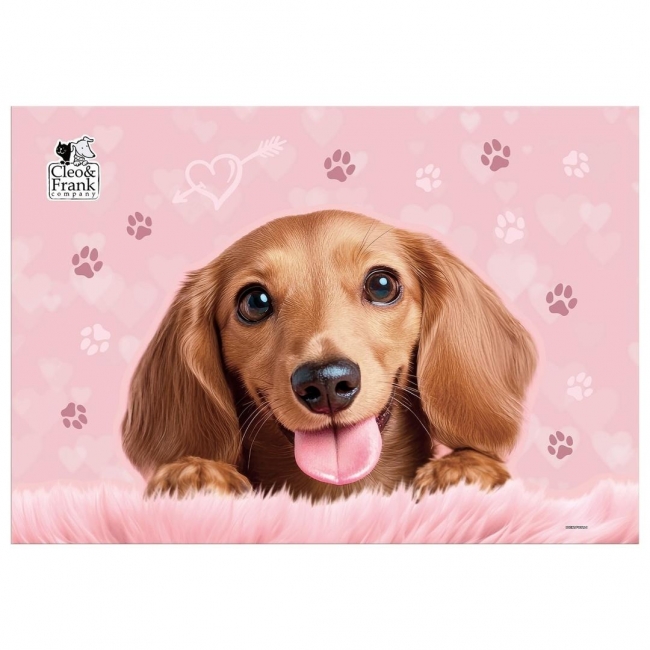 Podkład Clei i Frank Pies