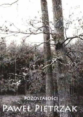 Pozostałości - Paweł Pietrzak